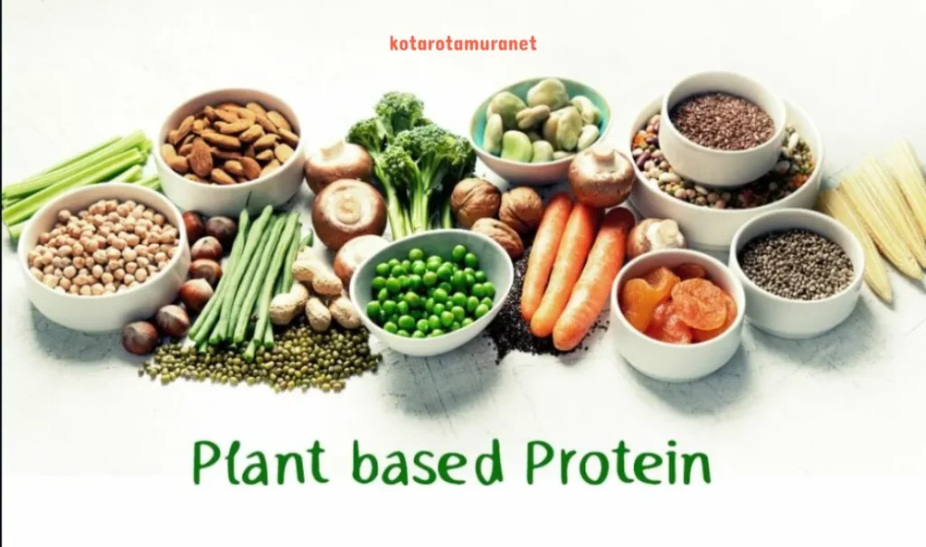 ความเสี่ยงจากการรับประทาน protein พืช